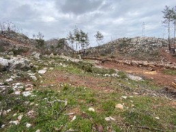 road fronted field for sale in osmaniye, marmaris