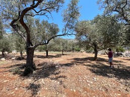 695 m2 excellent investment land for sale in marmaris bozburun